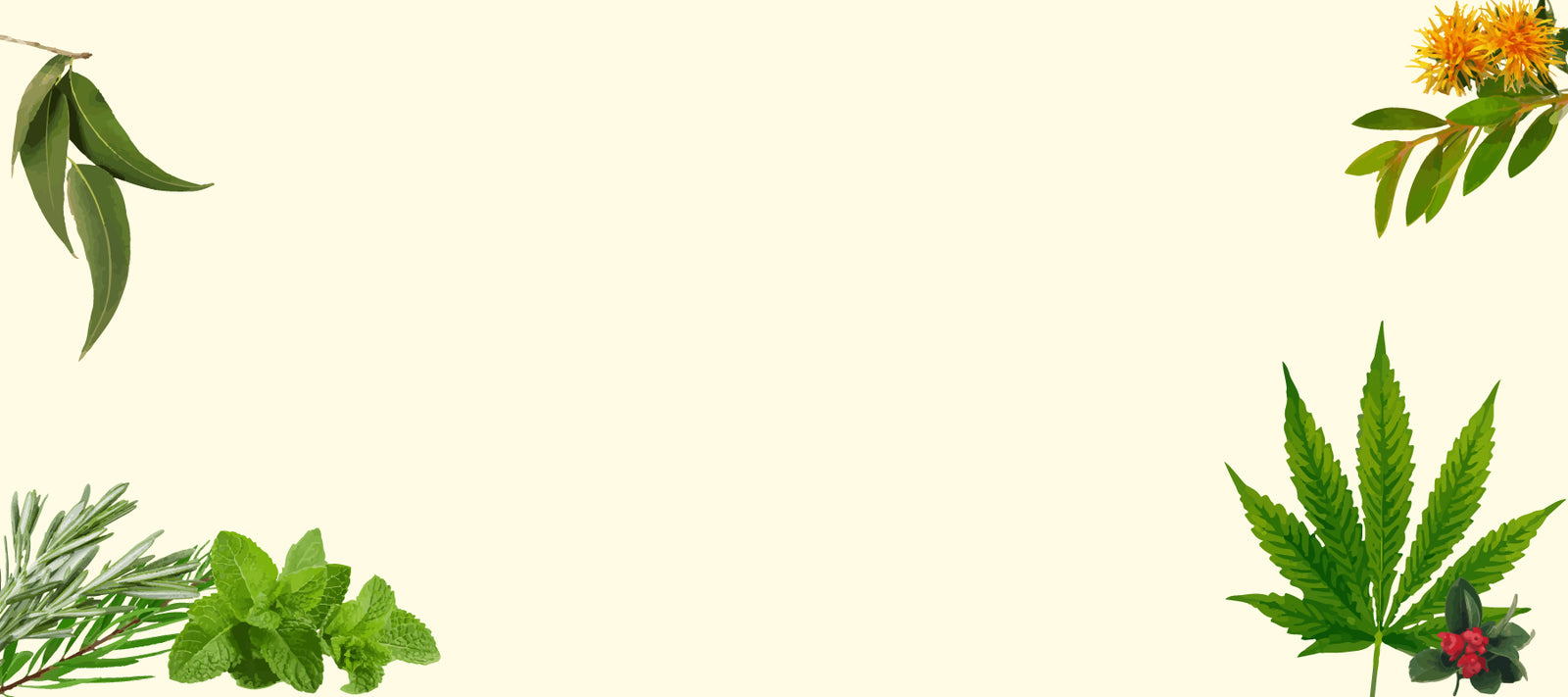 New Spectrum Labs Natural ingredients Hemp Leaf hemp seed oil full spectrum hemp cbd extract oil safflower peppermint eucalyptus rosemary wintergreen rosehip 