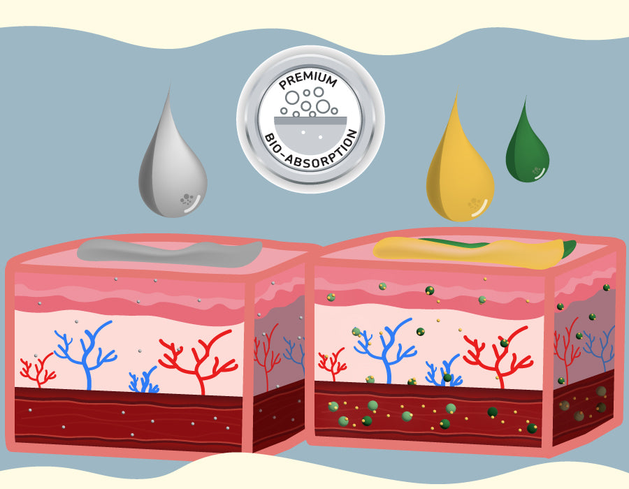 New Spectrum Labs Enhanced Bio Absorption BioFulmate penetrating cells to deliver cannabinoids phytonutrients nutrients vitamins and antioxidants 300% 3x more absorption CBD    