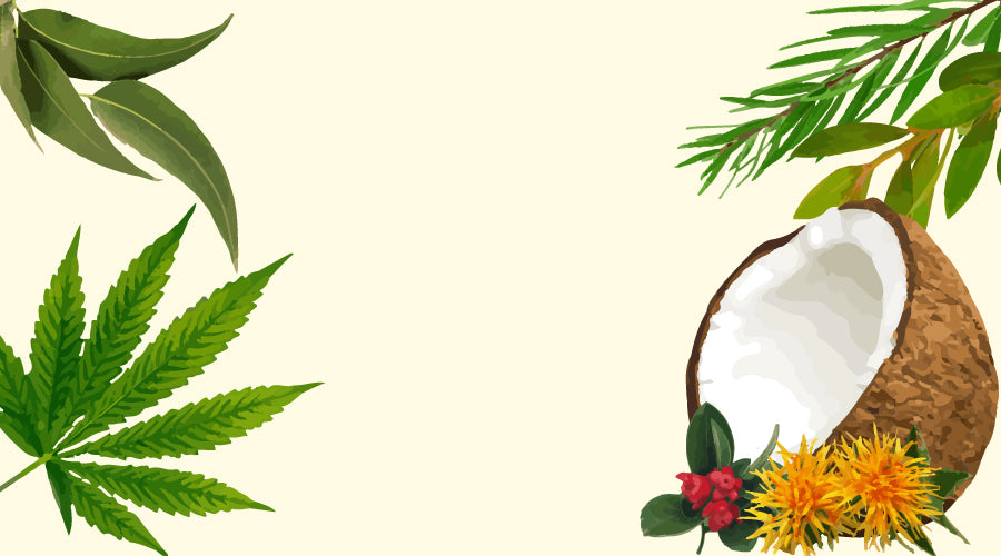 New Spectrum Labs Natural ingredients Hemp Leaf hemp seed oil full spectrum hemp cbd extract oil safflower peppermint eucalyptus rosemary wintergreen rosehip 